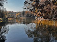 -上海共青森林公园