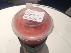 -野萃山·潮汕厚果汁(十亩地店)