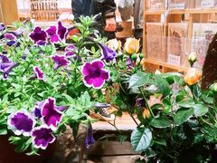 -猫的天空之城概念书店(杭州南宋御街店)