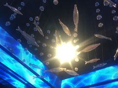 -尚橙歌坊主题式KTV(恒大商业广场店)