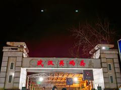 -武汉关码头(轮渡站)