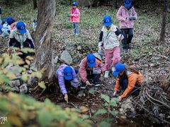 -甲乙果 美术书法(通州校区)