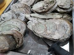 -蚝专家(北滘店)