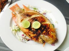 -Onion restaurant