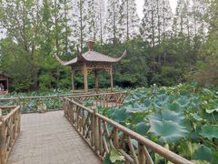 -上海滨江森林公园