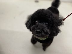 -北京恒爱动物医院(清景园分院)