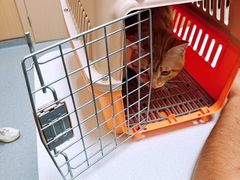-康成宠物医院24H·CT·核磁共振