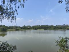-日照海滨国家森林公园