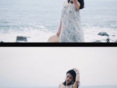 -广东惠东海龟国家级自然保护区
