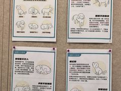 -美联众合爱康动物医院•复杂内科•肿瘤科•牙科•腔镜诊疗中心
