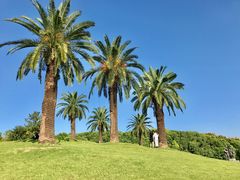 -美兰湖景区