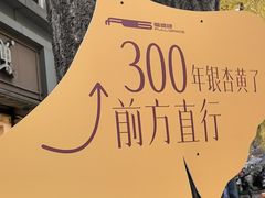 -奎星楼街