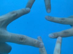 -杭州浪浪浪水公园