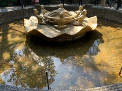 -杭州黄龙洞