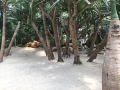 -南通洲际绿博园