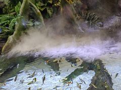 -上海海洋水族馆