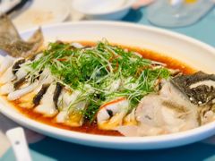清蒸多宝鱼-大树餐厅(益田假日店)