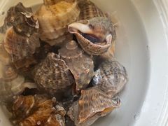 -济南海鲜大市场