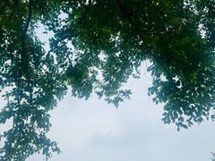 -木兰围场