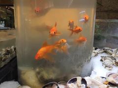 -常州环球恐龙城维景国际大酒店