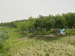 -大兴滨河森林公园