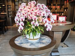 -王德传茶庄(上海新天地店)