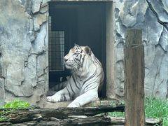 -黔灵山公园