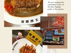 -伽喱博士 Dr.CURRY咖喱饭(太阳宫咖喱店)