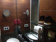 -新加坡文华东方酒店