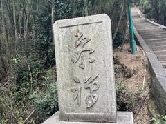 -长沙黑麋峰国家森林公园