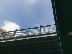 -厦门第七菜市场