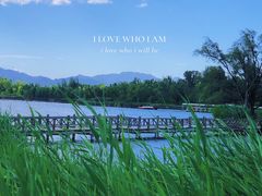 -野鸭湖国家湿地公园