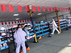 -呼兰河口湿地公园