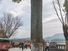 -鸣鹤古镇