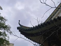 -东江渔村·古典园林·30年粤菜老字号(太和店)