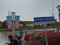 -高东镇樱花园