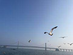 -星海广场