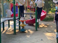 -大兴滨河森林公园