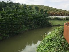 -迪茵湖田家舍生态农场