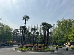 -北极阁公园