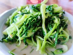 椒丝腐乳炒通菜-大赤坎肥仔强烧味海鲜餐厅(大赤坎店)