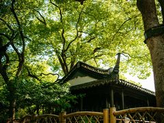 -上海醉白池公园
