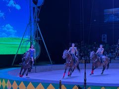 -蓬莱欧乐堡梦幻世界