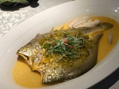 雪菜蒸野生大黄鱼-麟1929(外滩店)