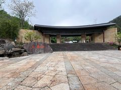 -天目山大树王景区