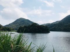 -广州市石门国家森林公园