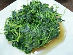 -阿马土菜馆