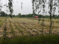 -长兴太湖图影湿地文化园