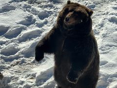 -北极村旅游风景区