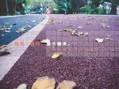 -南宁南湖公园